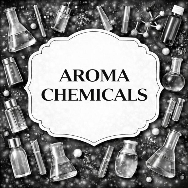 ChatGPT Image Jan 19, 2026, 02_04_52 PM ChatGPT Image Jan 19, 2026, 02 04 52 PM